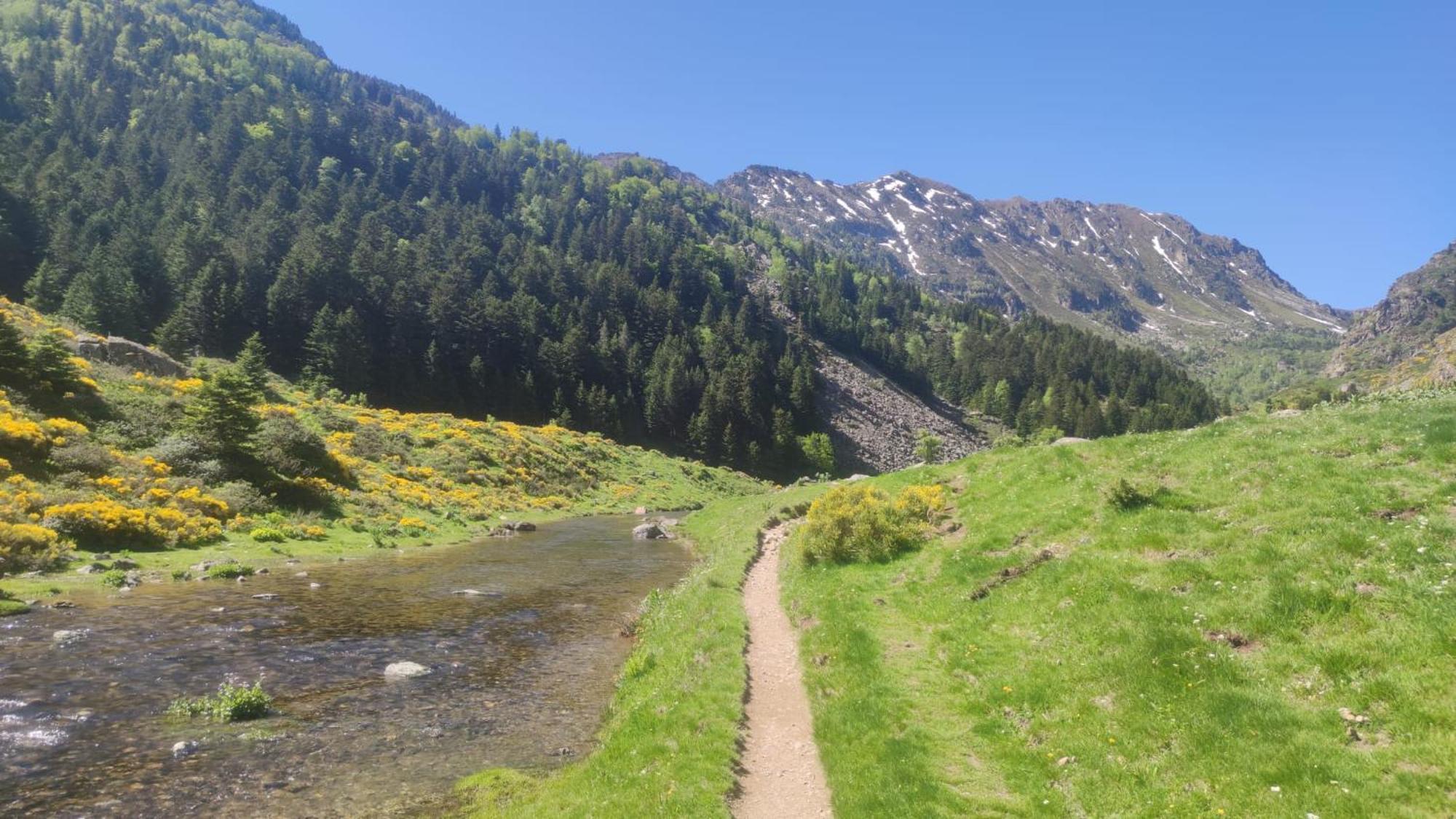 Les Gites De Beille Les Cabannes  Esterno foto