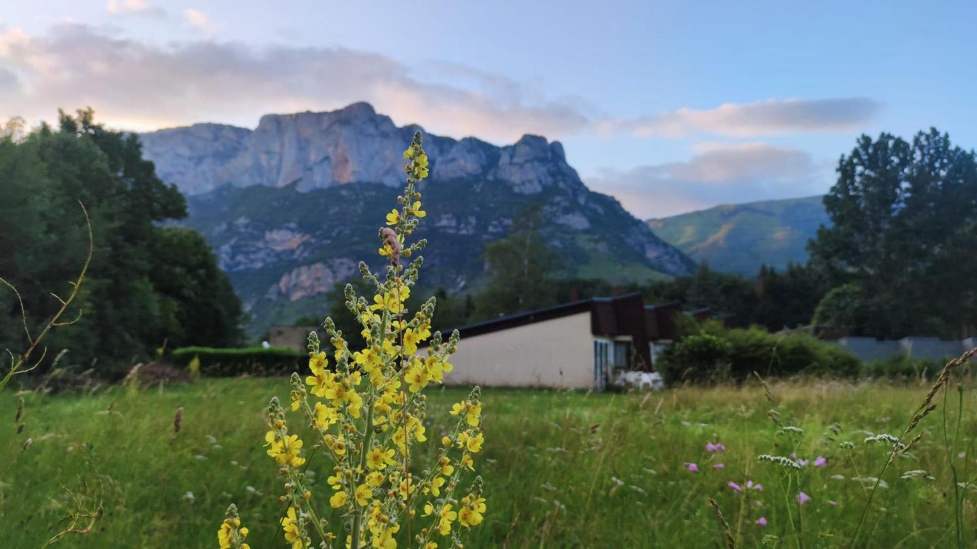 Les Gites De Beille Les Cabannes  Esterno foto